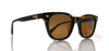 GÜNEŞ GÖZLÜĞÜ SUPERDRY SDS-5043-102