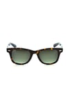 U.S. Polo Assn-USS 0034 C4-Elegance