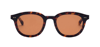 VANITY EFFECT CLYDE SUN TORTOISE 18.CLY.TORT
