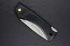 ARDILLA ÇakıAITOR KNIVES | Politak Store