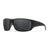 WILEY X WX OMEGA Black Ops. Balistik Gözlük WILEY X | Politak Store