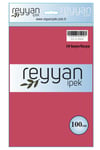 3007 Reyyan Poşetli Yazma