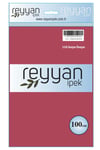 3007 Reyyan Poşetli Yazma