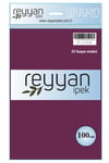 3007 Reyyan Poşetli Yazma