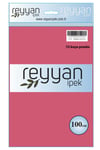 3007 Reyyan Poşetli Yazma