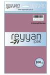 3007 Reyyan Poşetli Yazma