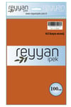 3007 Reyyan Poşetli Yazma