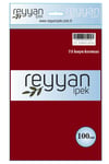 3007 Reyyan Poşetli Yazma