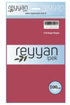 3007 Reyyan Poşetli Yazma