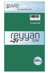 3007 Reyyan Poşetli Yazma