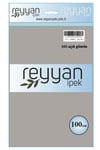 3007 Reyyan Poşetli Yazma