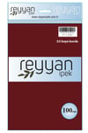 3007 Reyyan Poşetli Yazma