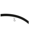 Ariete - TRASMISSION BELT