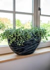 Niene Siyah Oval Plastik Saksı 55x25x20cm
