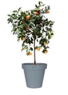 Via Gardenia Plastik Saksı Gri Çap 30 cm Yükseklik 26 cm