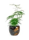Vive Siyah Metal Saksı S 15x12 cm