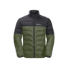 Jack Wolfskin Dna Tundra Down Greenwood Erkek Mont