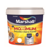 Marshall Maximum Silikonlu İpek Mat 2,5 L