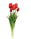 KIRMIZI LALE DEMETİ 46 CM 