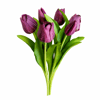 MOR LALE DEMETİ-30CM 
