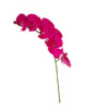 ORKİDE DALI FUŞYA 79 CM