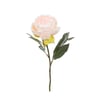 POMANTİK PEMBE ŞAKAYIK 45 CM