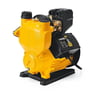 SGS SGS5381 Periferik Su Pompası 0.55 HP 400 Watt Bahçe Ve Ev Tipi Su Motoru