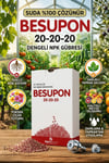 Besupon 20-20-20 NPK Suda Çözünebilir Kompoze Gübre