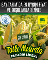 FİTO SF 2070