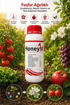 HoneyM Gübre Çözeltisi