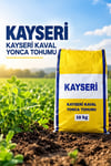 Kayseri Kaval Yonca Tohumu 10 kg