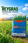 Reygras Yem Bitkisi Tohumu (Süt Otu) 20 kg