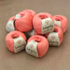 Organic Cotton Yarn - CORAL, 063