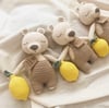 Teddy Bear with Lemon 9.8