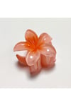 Lotus Toka 3 cm Minik Boy 1 Adet