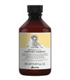 Davines NaturalTech Purifying Shampoo 250 ml