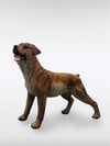 Köpek Biblo