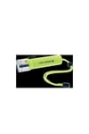 Led Lenser D14.2 Dalış El Feneri LED9114