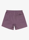 Quiksilver EVERYDAY SOLID VOLLEY 15 Erkek Volley Short EQYJV04120-QK.PQC0