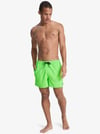 Quiksilver EVERYDAY SOLID VOLLEY 15 Erkek Volley Short EQYJV04120-QK.GGY0