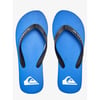 Quiksilver MOLOKAI CORE Erkek Terlik AQYL101325-QK.BYJ1