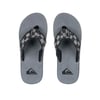 Quiksilver MONKEY ABYSS Erkek Terlik AQYL100047