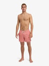 Quiksilver STRETCH PRINTED Erkek Şort EQYJV04217-QK.MKT1