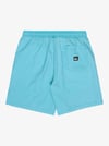 Quiksilver TAXERWS Erkek Şort EQYWS03915-QK.BJK0