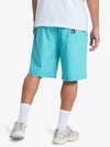 Quiksilver TAXERWS Erkek Şort EQYWS03915-QK.BJK0