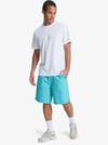 Quiksilver TAXERWS Erkek Şort EQYWS03915-QK.BJK0
