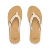 Reef BAJA SANDS Kadın Terlik REF.CJ9082-REF.250