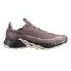 Salomon  ALPHACROSS 5 GTX W Erkek Koşu Ayakkabısı L47311000