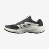 Salomon ALPHAGLIDE Erkek Ayakkabısı L47801000