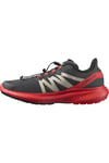 Salomon HYPULSE Erkek Ayakkabısı L41685200